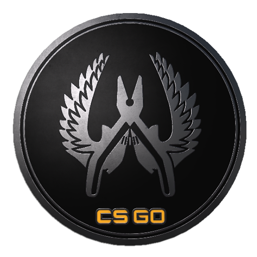 Guardian Elite Pin