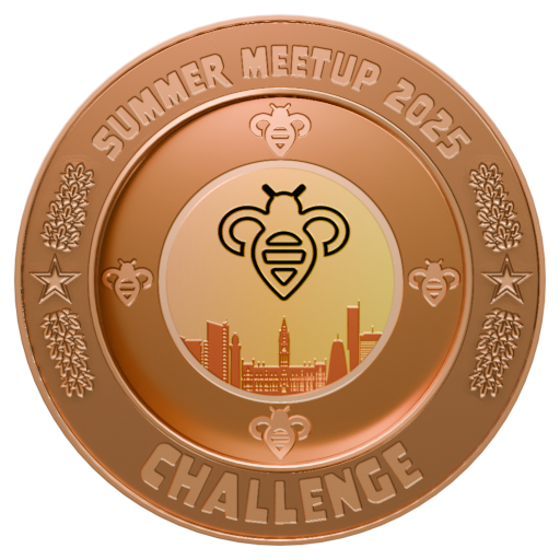 Summer Meetup 2025 Bronze Challenge Pin