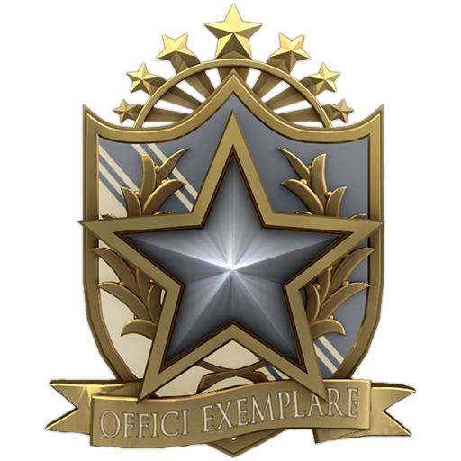 2022 Service Medal | Level 1
